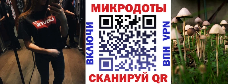 маркетплейс как зайти  Куровское  Галлюциногенные грибы прущие грибы 
